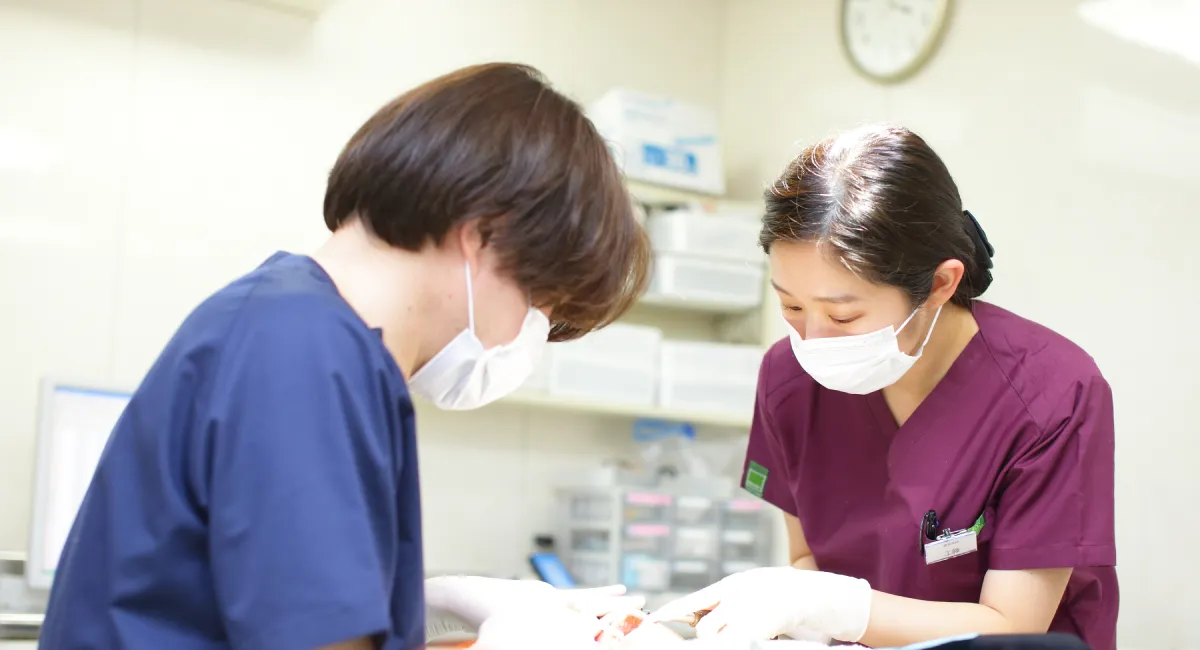 受付で相談する様子