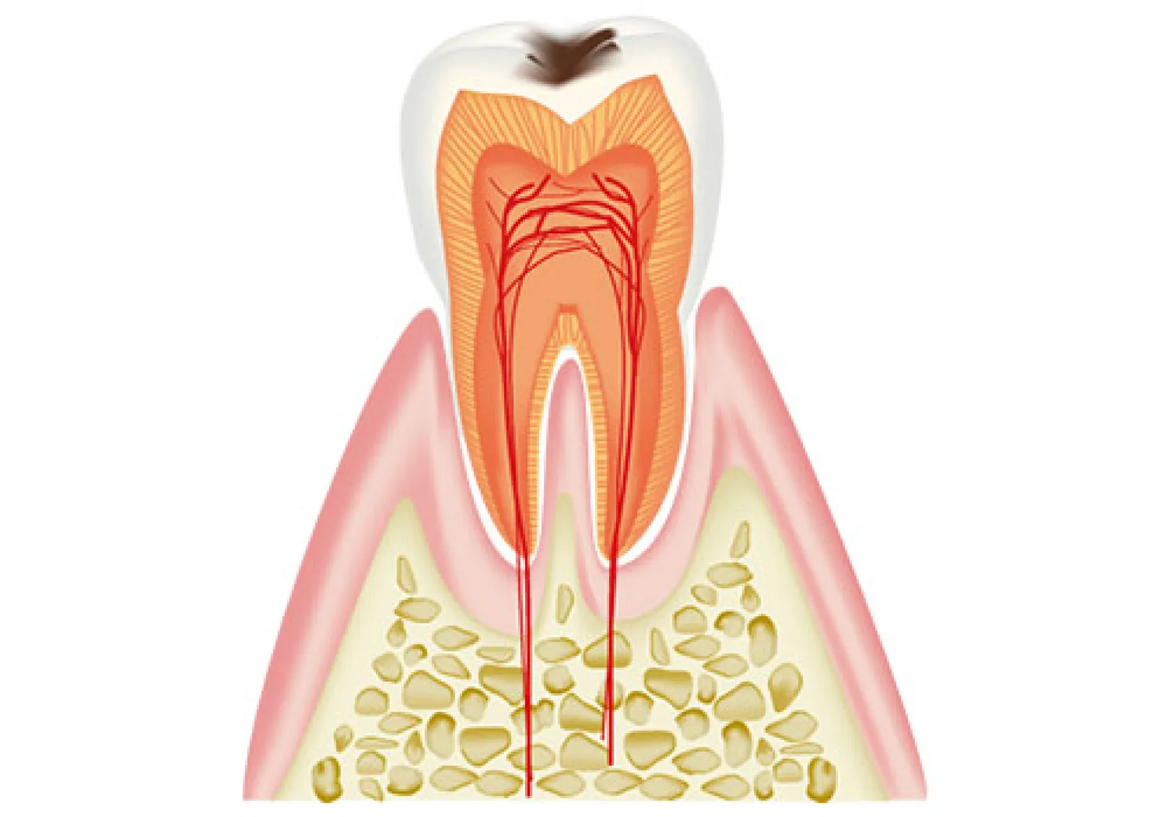 どんな年代のお悩みにも対応
