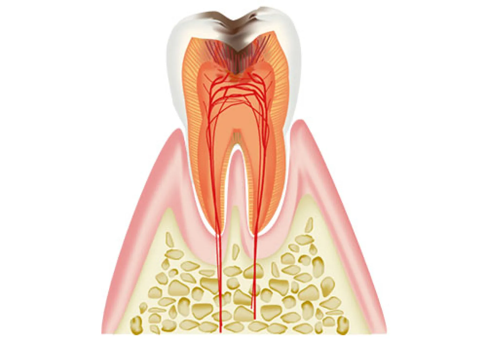 どんな年代のお悩みにも対応