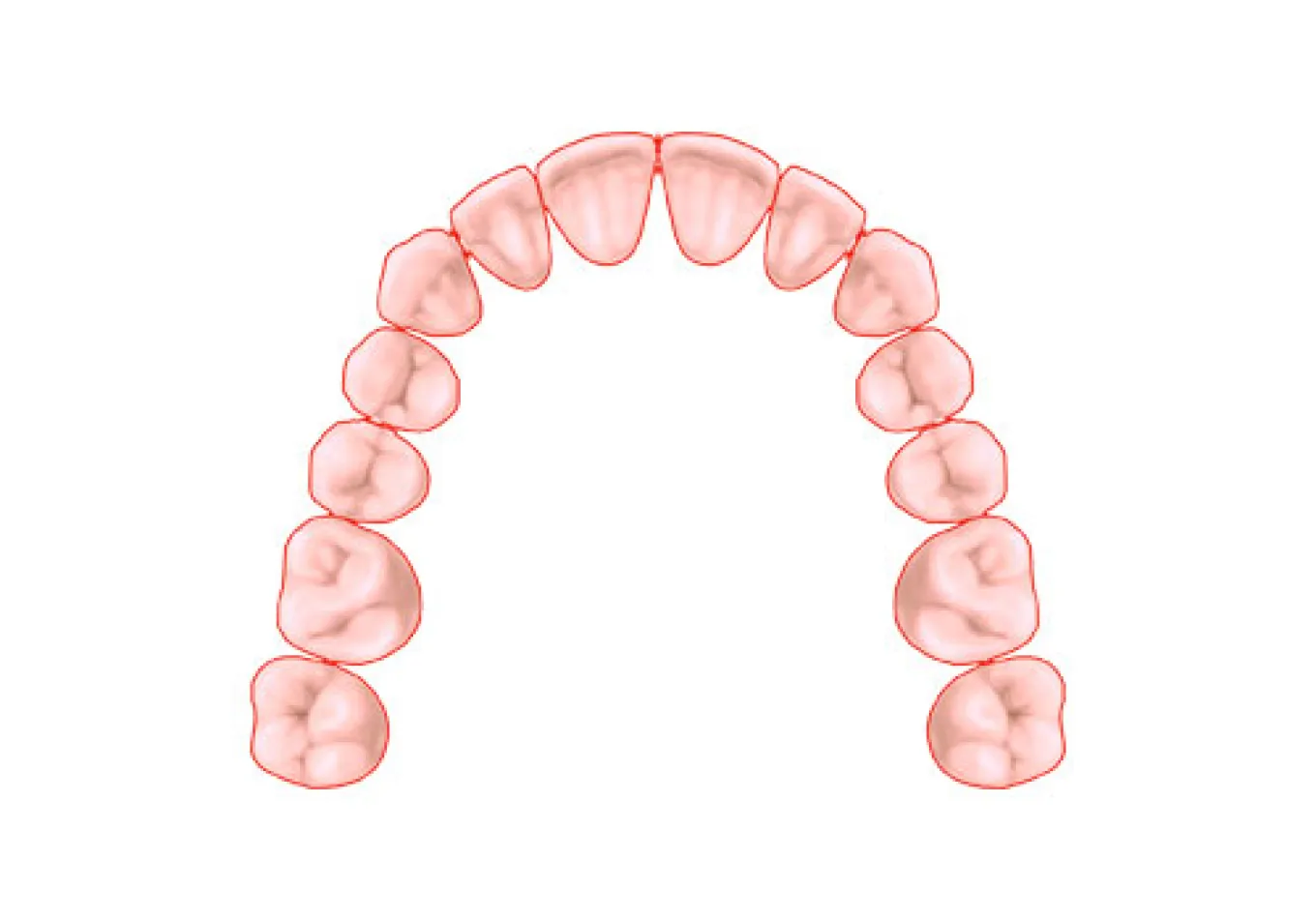 全ての歯を欠損