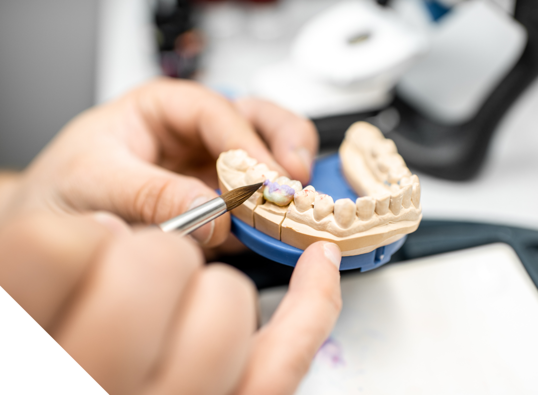 歯科技工士が筆を使い、義歯(歯の模型)に精密な着色作業を行っている様子